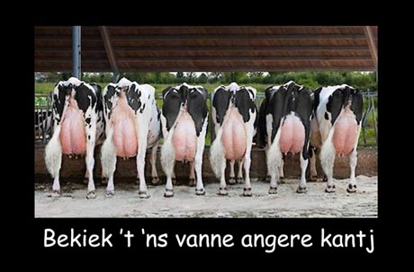 Aktiviteit 1 foto 460 x 303px